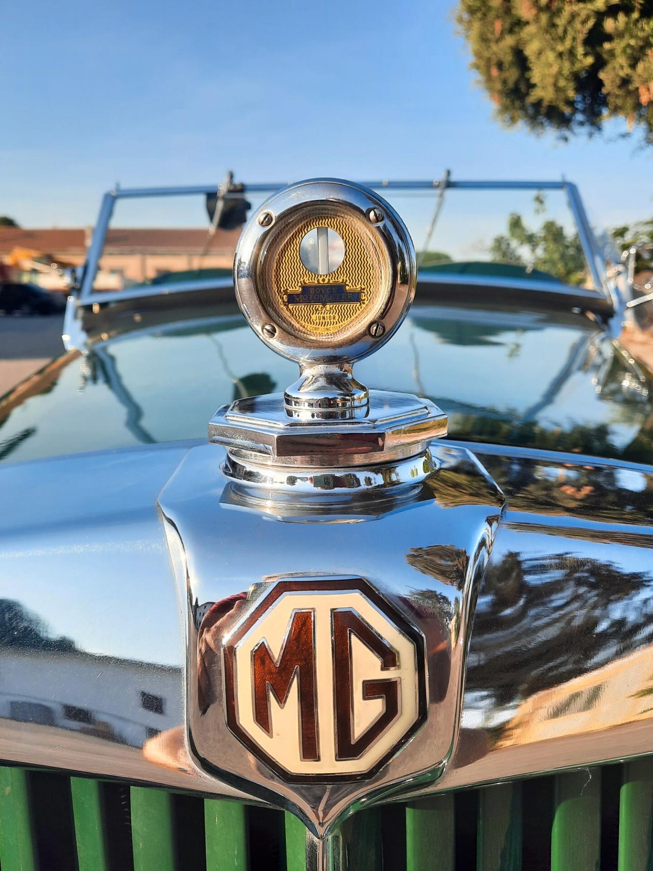 Mg TD