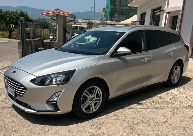 Ford Focus 1.5 EcoBlue 120 CV automatico SW Business Co-Pilot