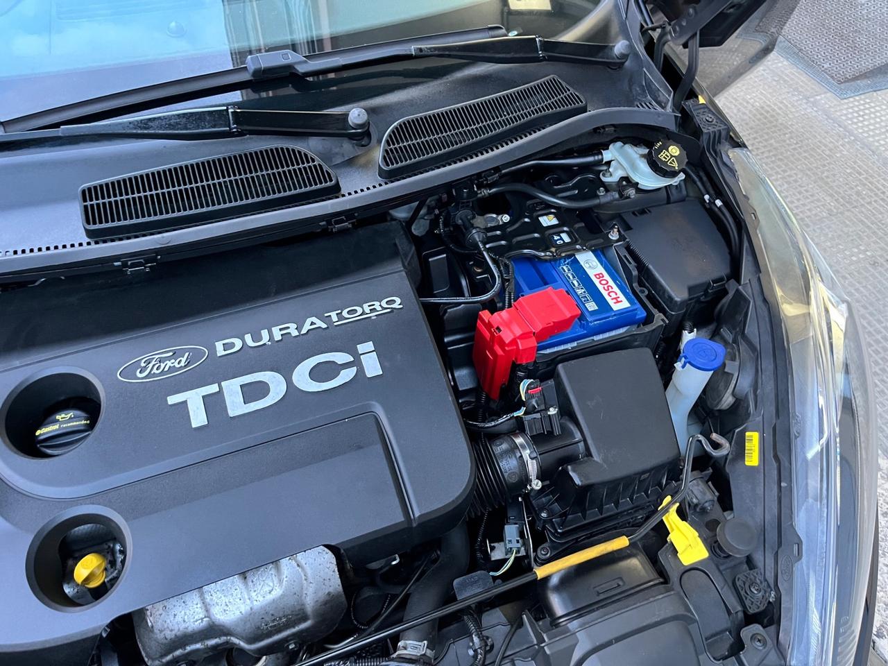 Ford Fiesta 1.5 TDCi 75CV 5 porte Business