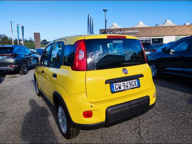 FIAT Panda III 2024 - Panda 1.0 firefly hybrid s&s 70cv