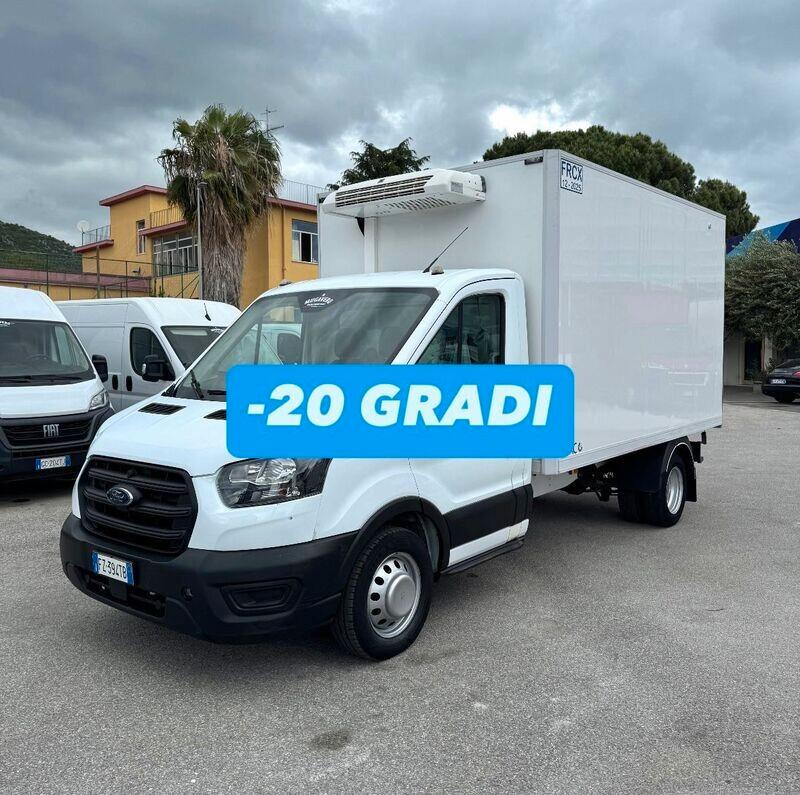 FORD TRANSIT 2.0tdci 170cv FRIGO
