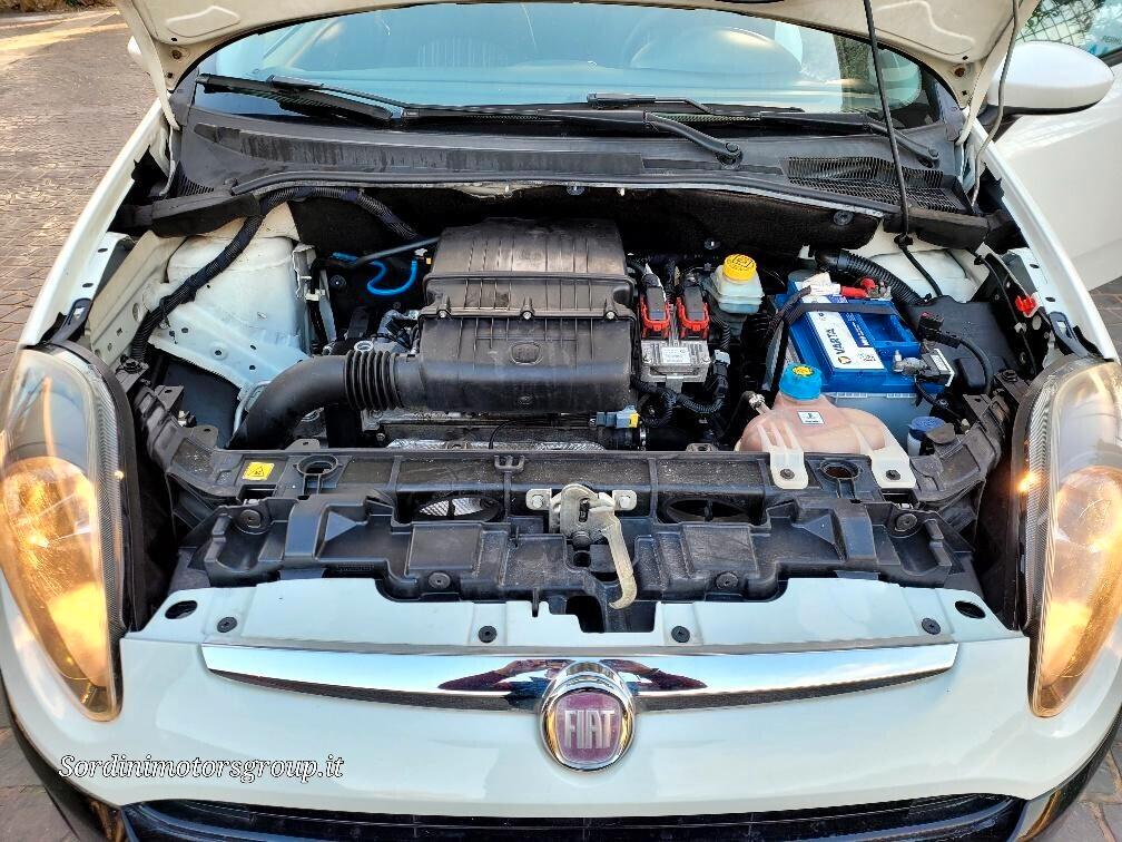 Fiat Punto Evo 1.2 3 porte Active