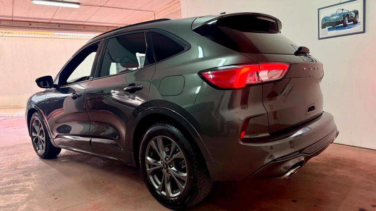 Ford Kuga 1.5 EcoBlue 120 CV 2WD ST-Line garanzia ford 7anni