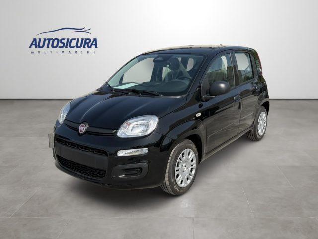 FIAT Pandina 1.0 FireFly 65 CV Hybrid Icon