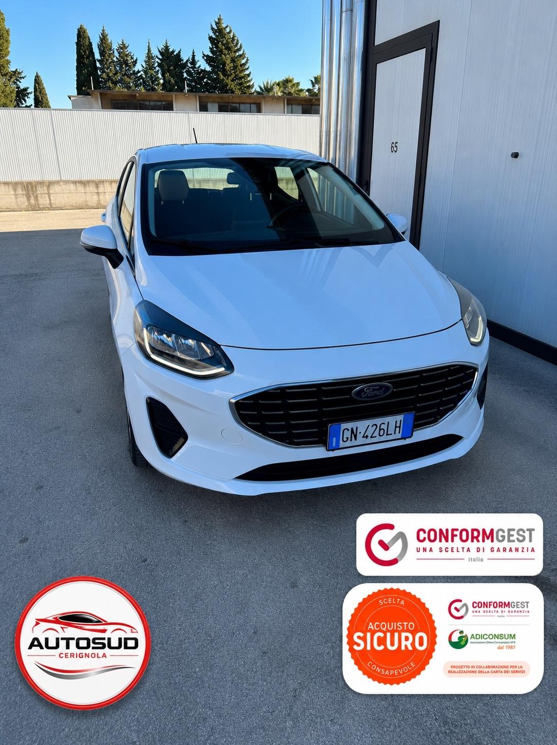 Ford Fiesta 1.0 Ecoboost Hybrid 125 CV 5 porte Titanium