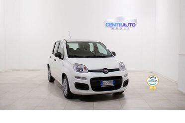 FIAT Panda Panda 1.0 70cv FireFly S&S Hybrid