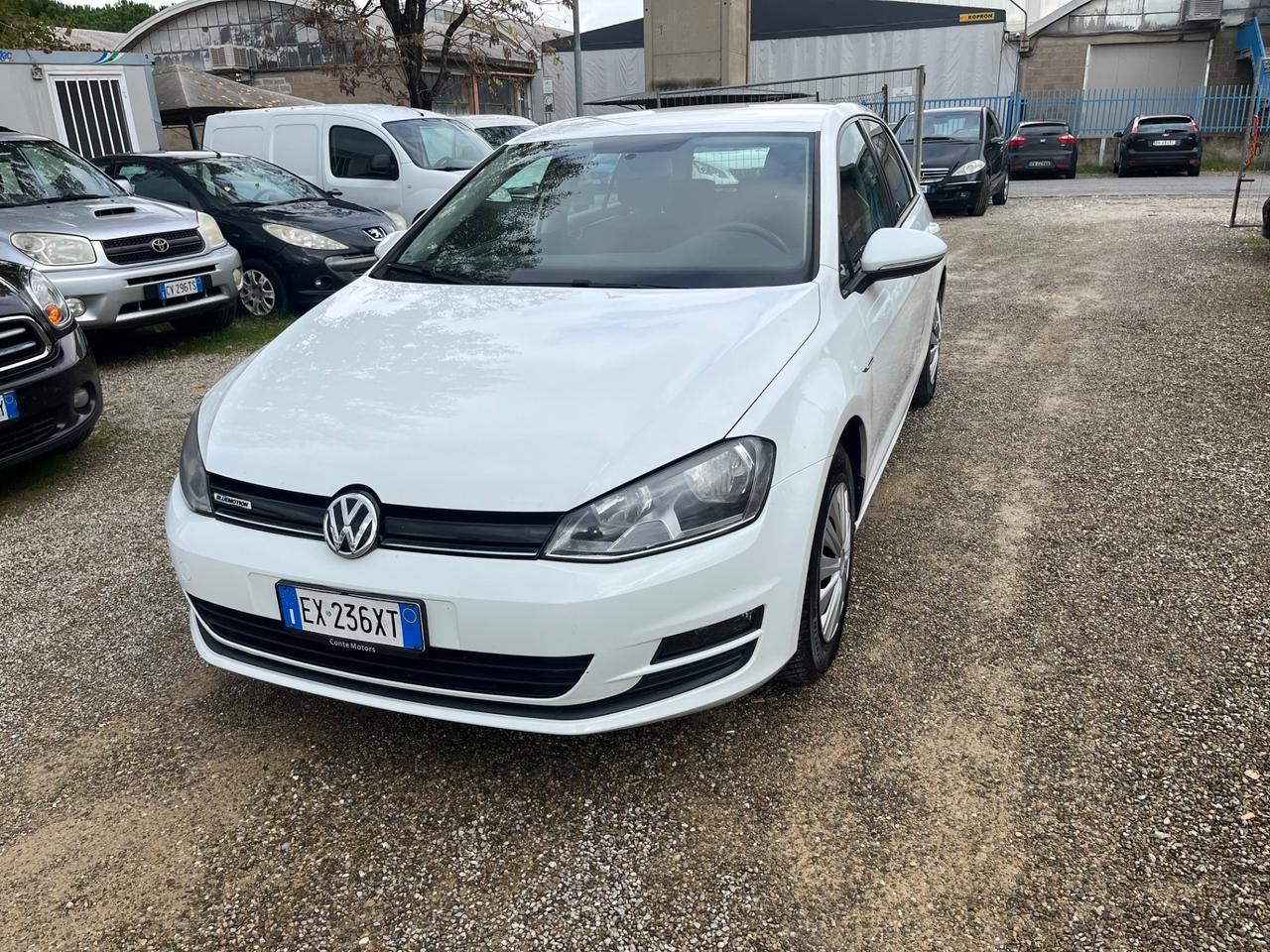 Volkswagen Golf Business 1.4 TGI 5p. Comfortline BlueMotion
