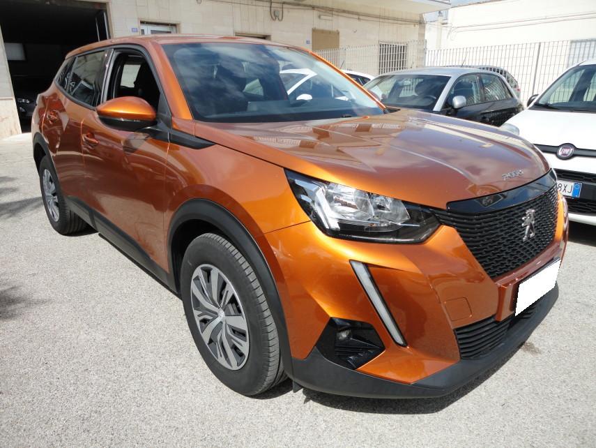 Peugeot 2008 1.5 bluehdi Active s&s 110cv