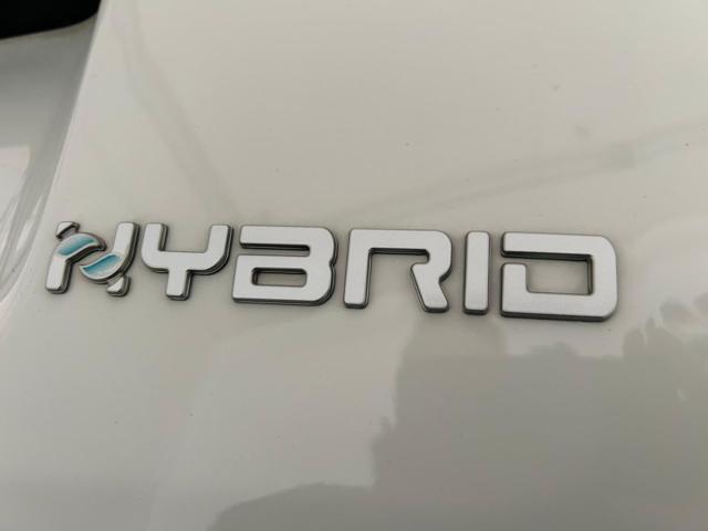 FIAT Panda 1.0 Hybrid Pop Van 2 posti