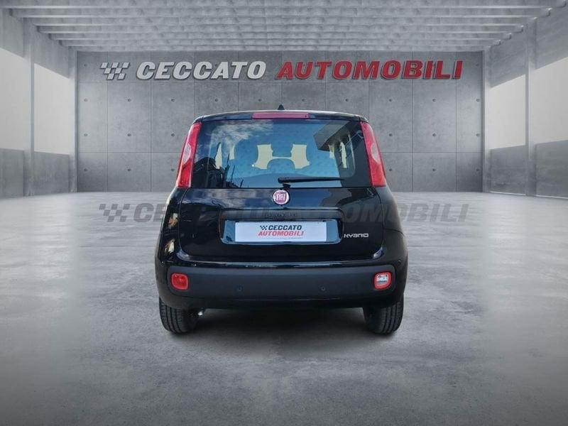 FIAT Panda Panda 1.0 70cv Hybrid Icon