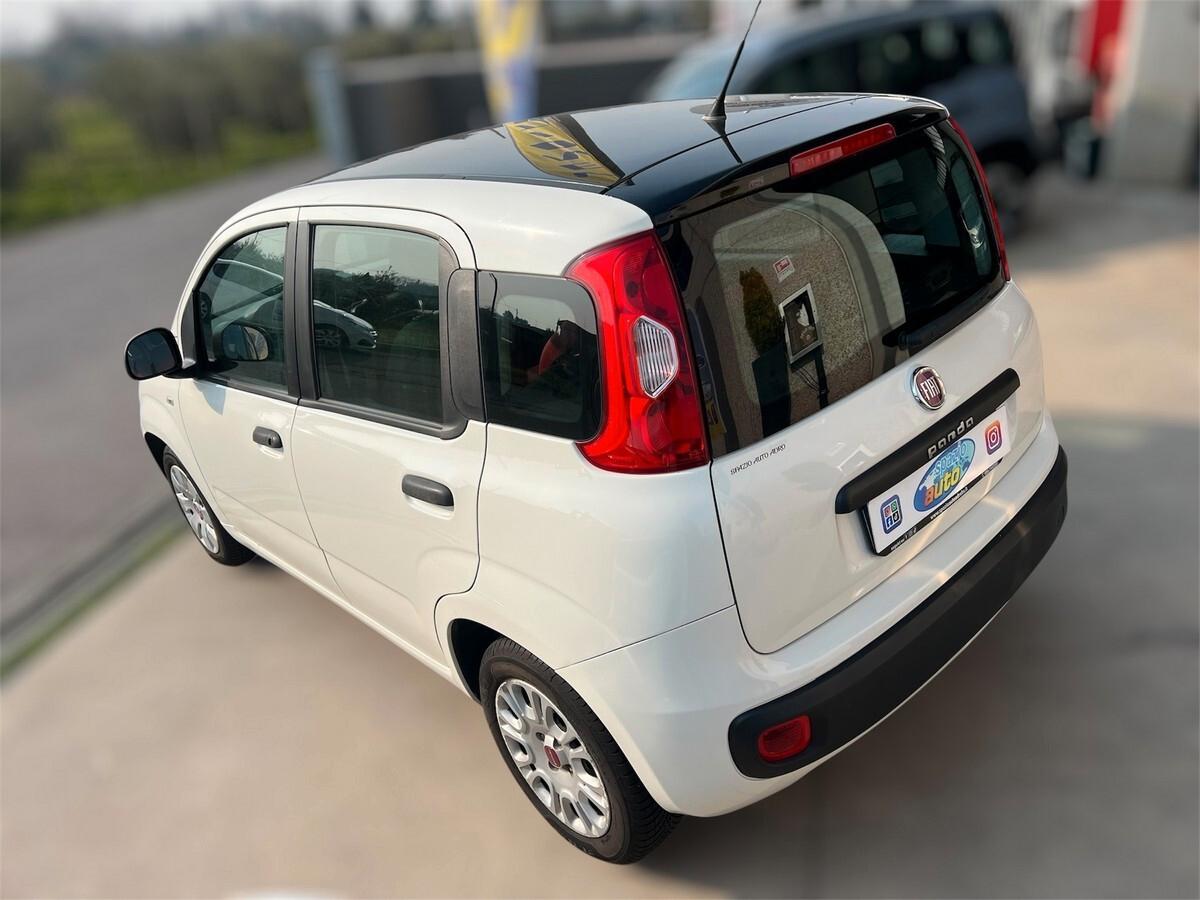 Fiat Panda 1.2 Dynamic OK NEOPATENTATI
