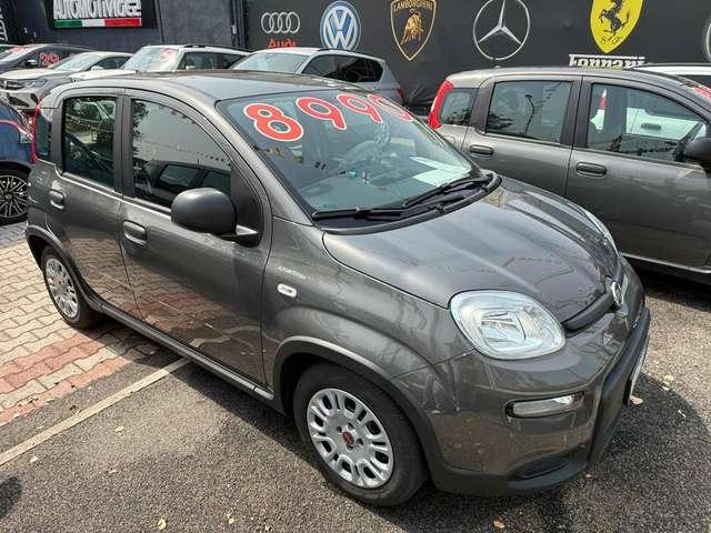 Fiat Panda Panda 1.0 firefly hybrid DISPONIBILI VARI COLORI