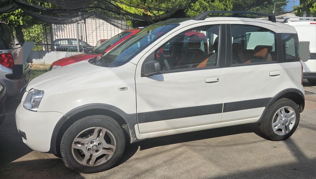 Fiat Panda 1.2 Climbing Natural Power