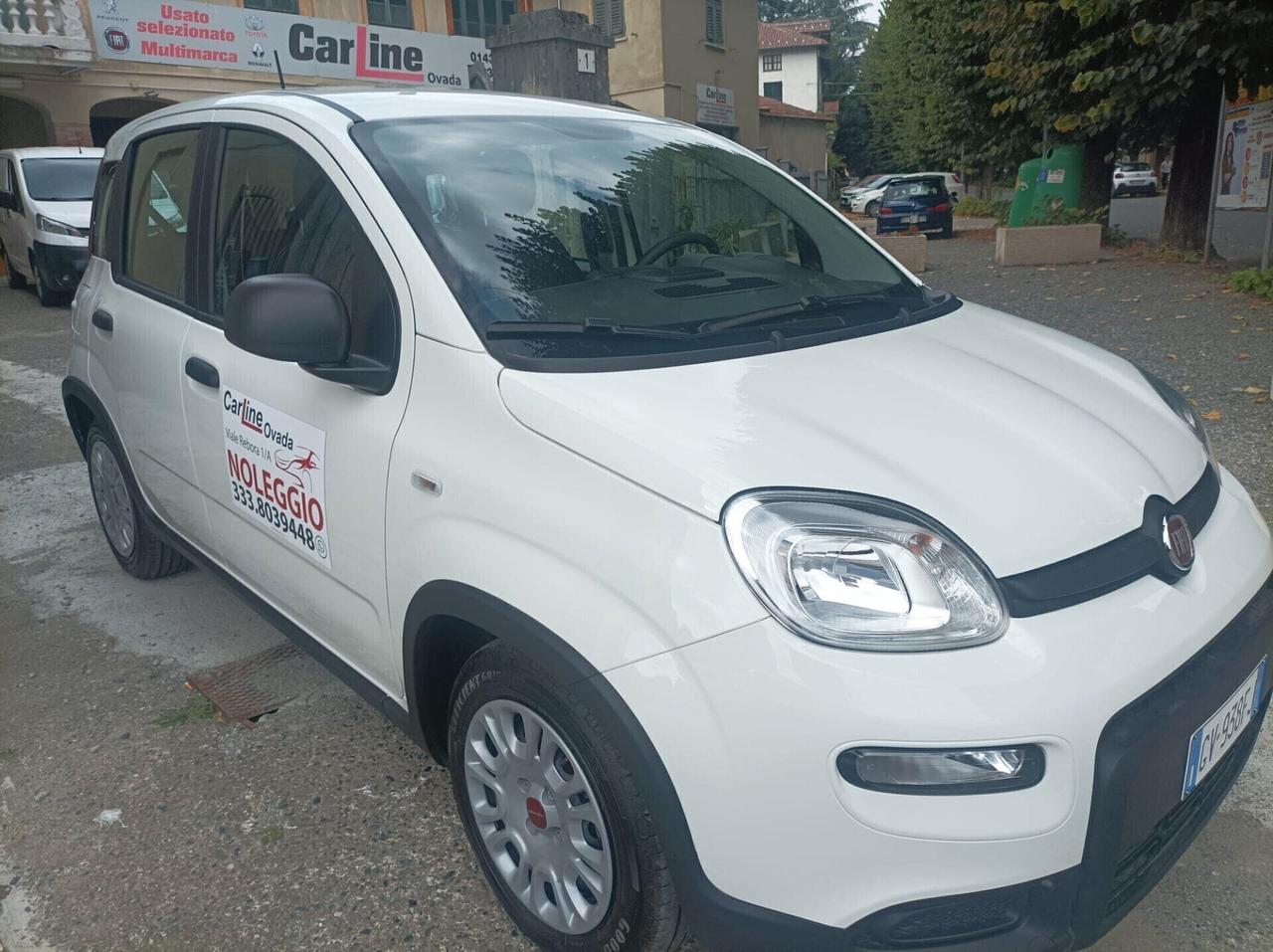 FIAT PANDA 1.0 2024