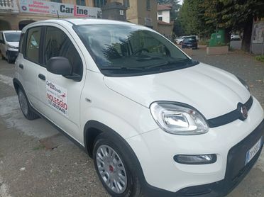 FIAT PANDA 1.0 2024