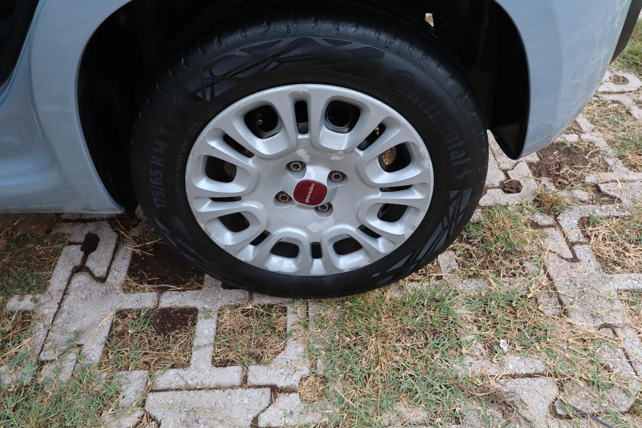 FIAT Panda 1.0cc Firefly 70cv s&s Hybrid 5 Posti