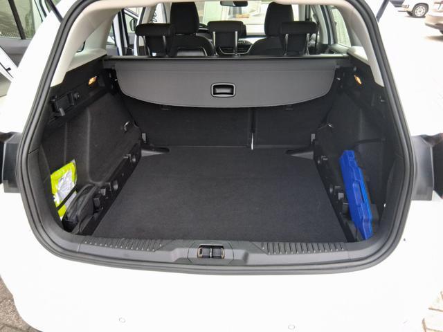 FORD Focus 1.5 EcoBlue 120 CV automatico SW Business Co-Pilot