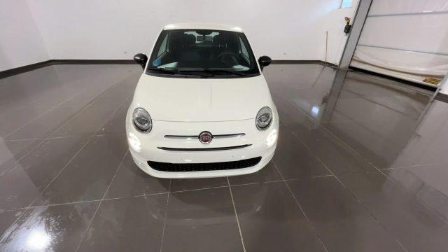 FIAT 500 1.0 Hybrid Cult #Vari.Colori