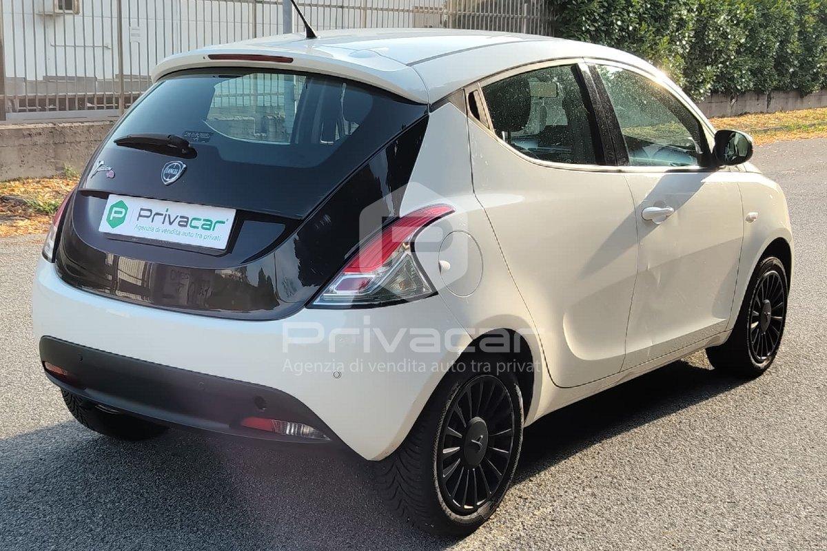 LANCIA Ypsilon 1.2 69 CV 5 porte Elefantino