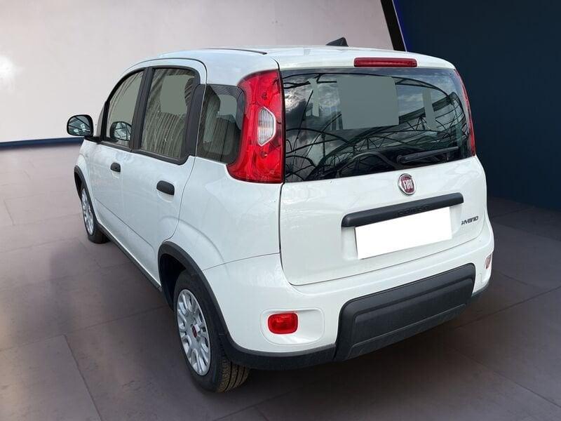 FIAT Panda My23 1.0 70cv Hybrid Panda