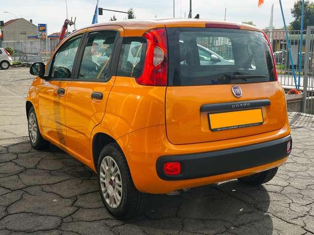 Fiat Panda Panda 1.2 69cv Easy