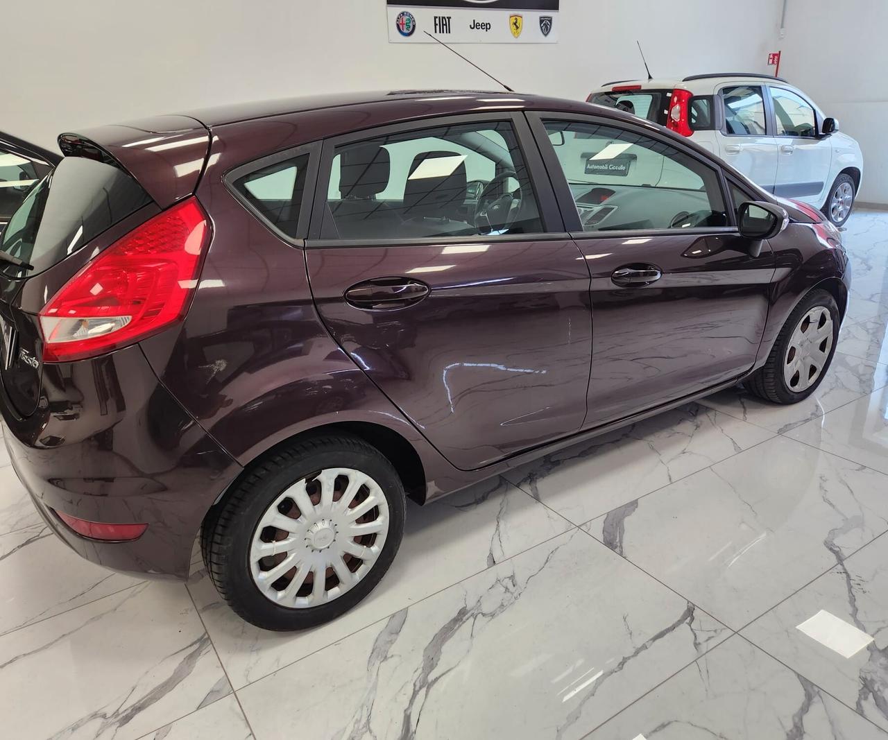 Ford Fiesta 1.4 TDCi 68CV 5 porte Titanium