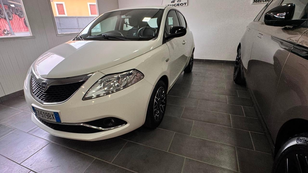 Lancia Ypsilon 1.2 69 CV 5 porte GPL Ecochic Elle