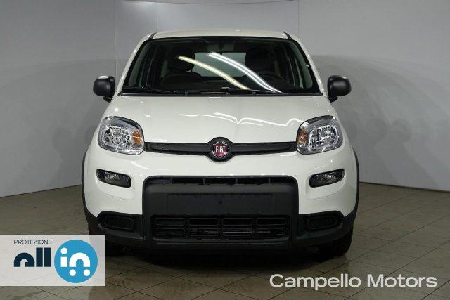 FIAT Panda Panda 1.0 70cv Hybrid Panda My23