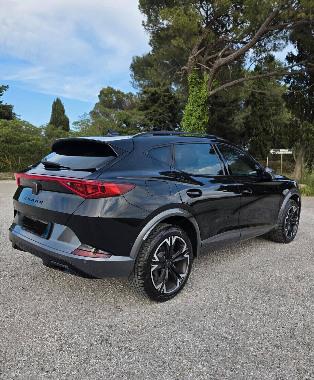 Cupra Formentor 2.0 TDI 4Drive DSG 4x4