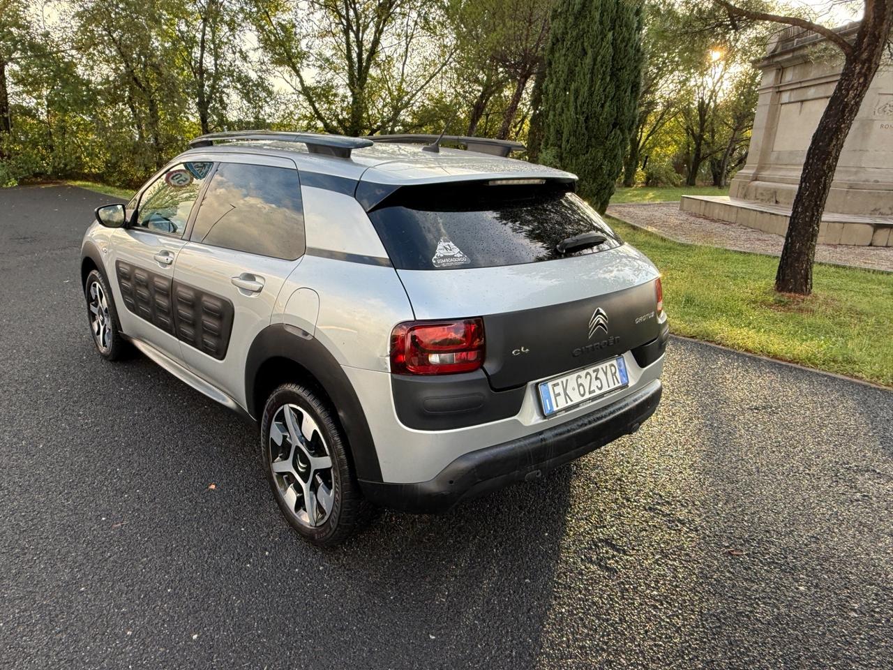 Citroen C4 Cactus BlueHDi 100 Shine