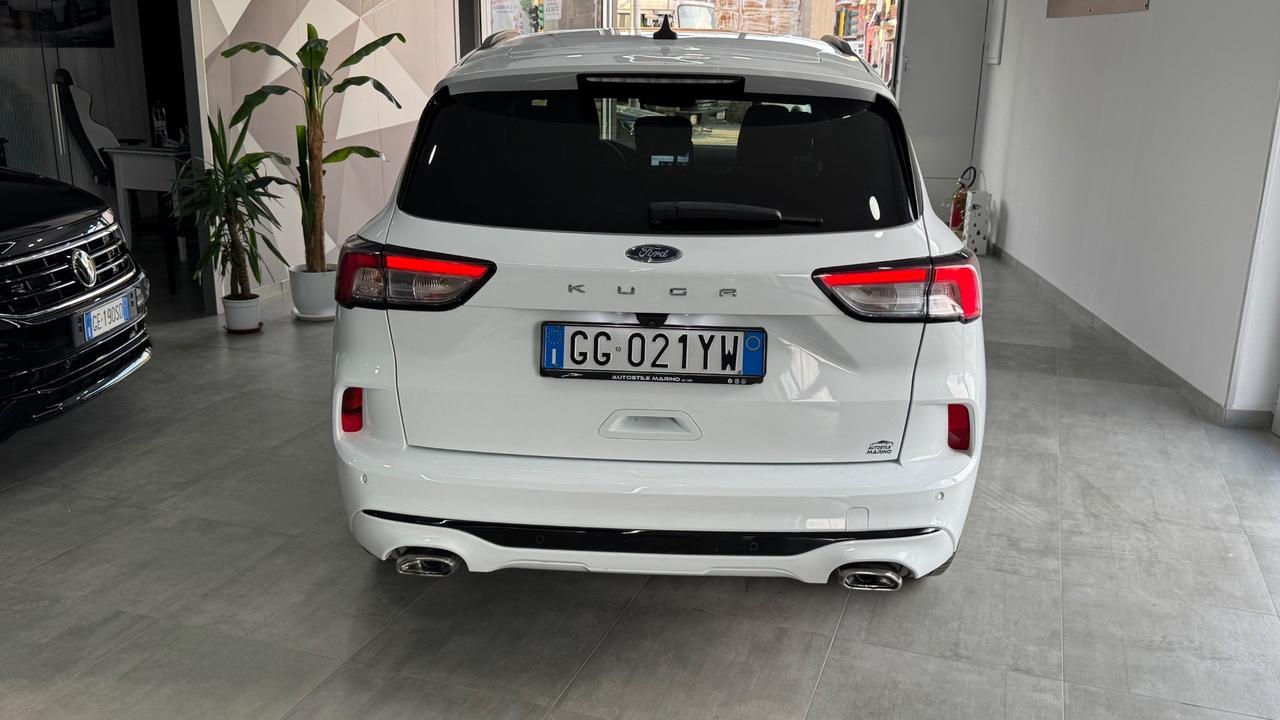 Ford Kuga 1.5 EcoBlue 120 CV 2WD ST-Line X-2021