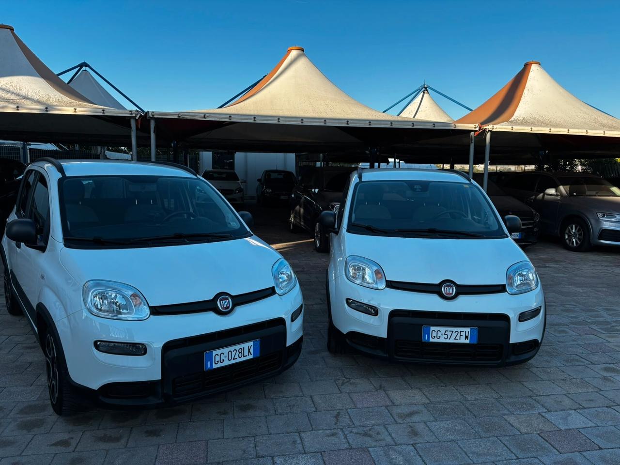 N*2 Fiat Panda 1.0 69cv Hybrid City Life - 2021