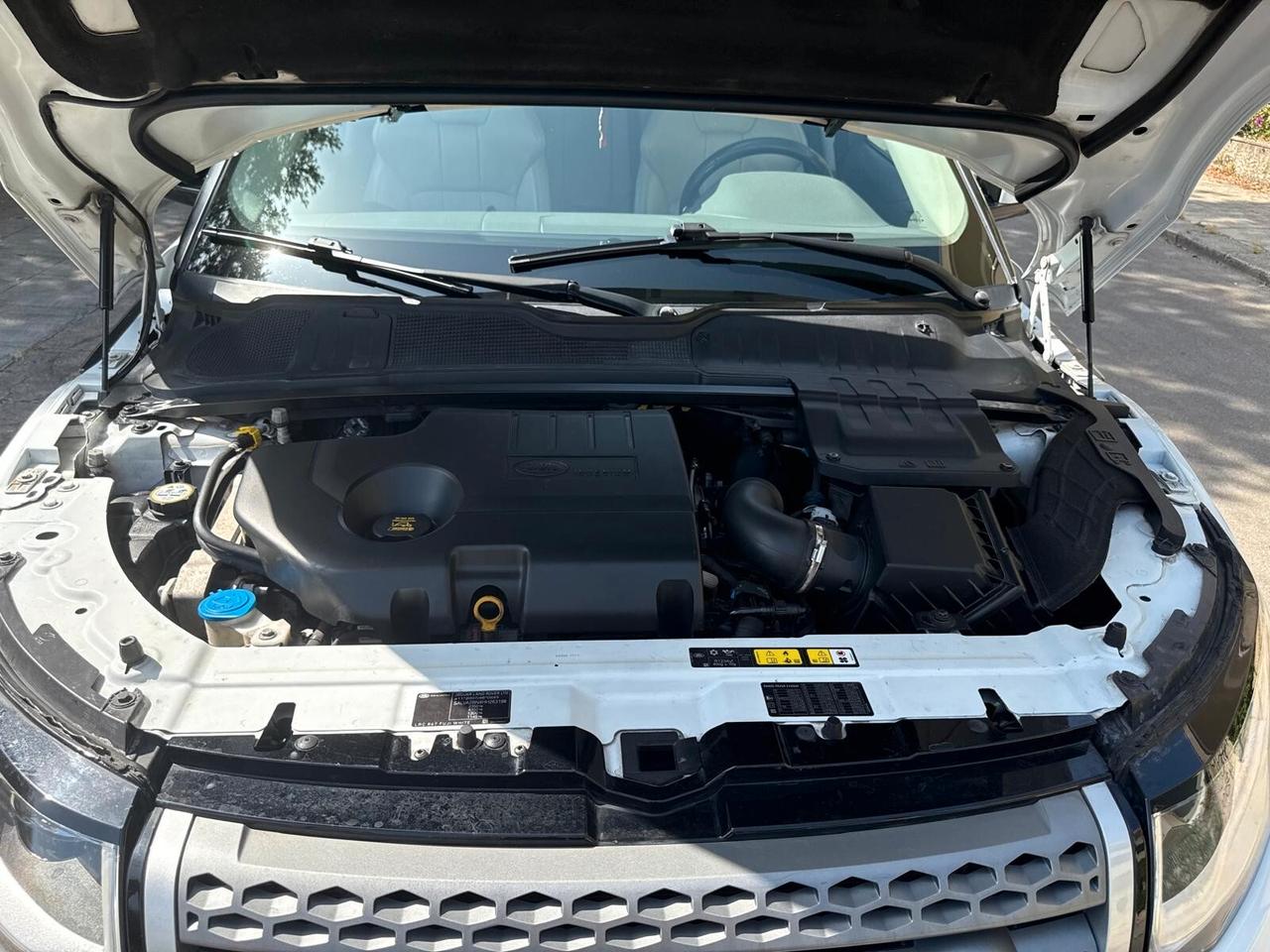 Land Rover Range Evoque 2.0 eD4 5p. Business Edition Premium Pure