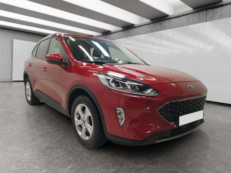 Ford Kuga 1.5 ecoblue Connect 2wd 120cv auto