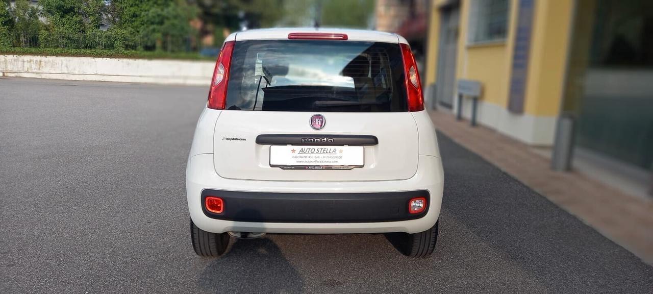 Fiat Panda Benzina cc. 1.242 5 Porte 5 Posti SOLO 55.075 Chilometri Utilizzabile anche per i Neopatentati.