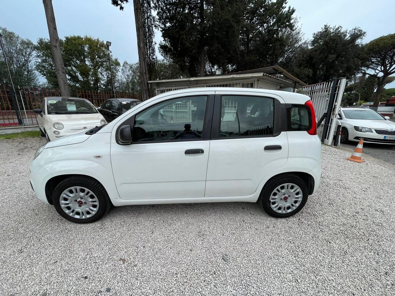 Fiat Panda 1.2 Easy, E6, 5 posti, NEOPATENTATI, KM REALI, PREZZO REALE