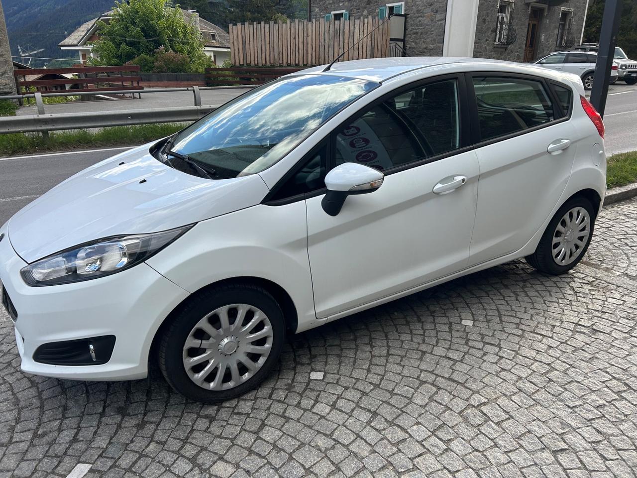 Ford Fiesta 1.0 EcoBoost 100CV 5 porte Black & White Edition
