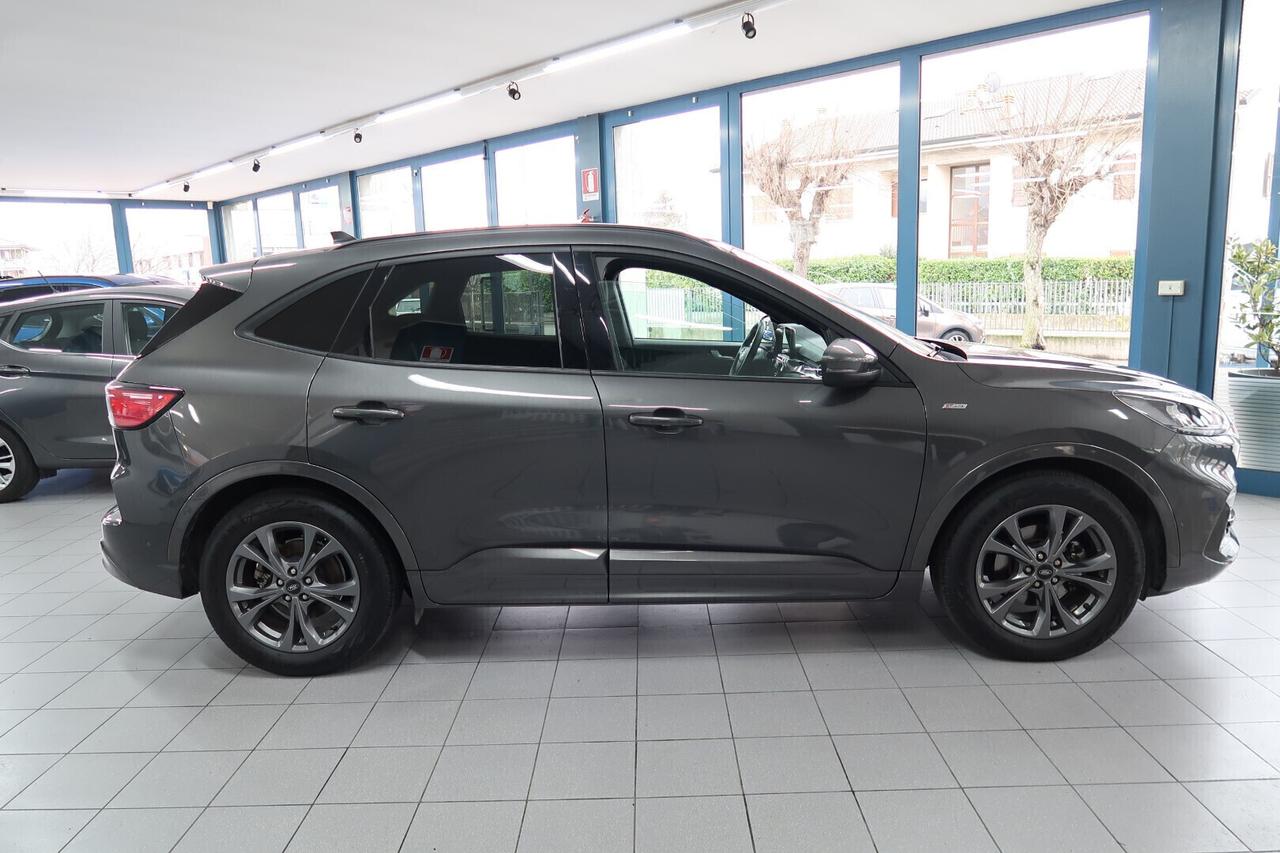 Ford Kuga 2.0 EcoBlue 120 CV aut. ST-Line