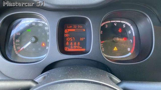 FIAT Panda Panda III 2021 1.0 firefly hybrid tg : GP621BA