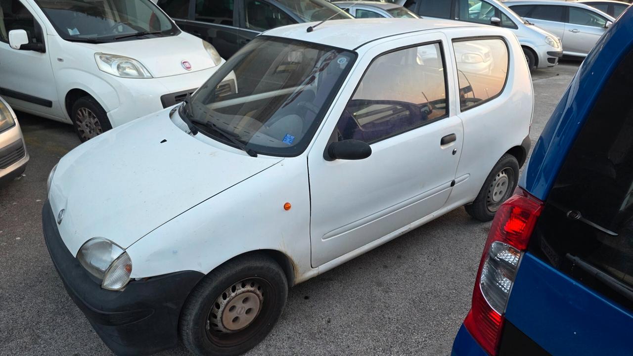 Fiat Seicento 900i cat Young