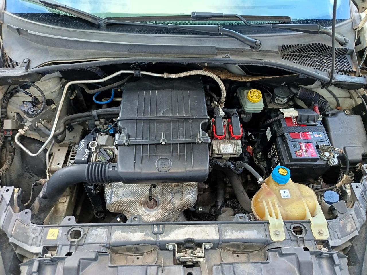 Fiat Punto Evo 1.4 natural power Punto Evo 5p 1.4 natural power Dynamic 70cv
