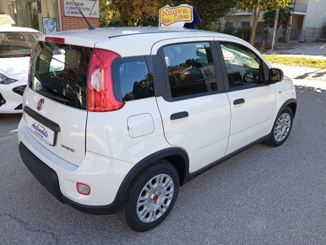 FIAT Panda 1.0 FireFly S&S Hybrid KM 0 OK NEOPATENTATI