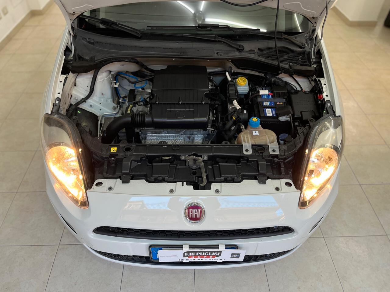 Fiat Punto 1.2 8V 5 porte Street KM 66.600 - 2016