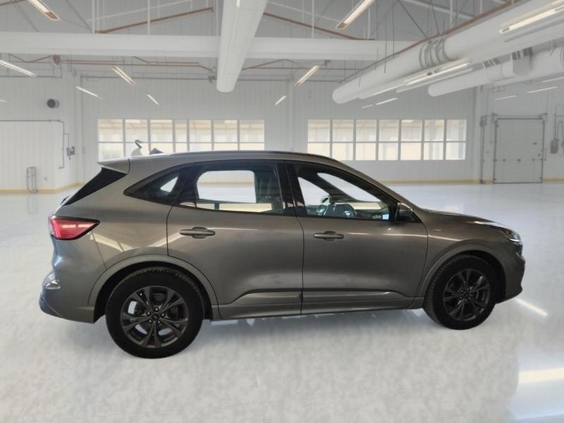 FORD KUGA 1.5 ECOBLUE 120 CV 2WD ST-LINE AUTO SUV