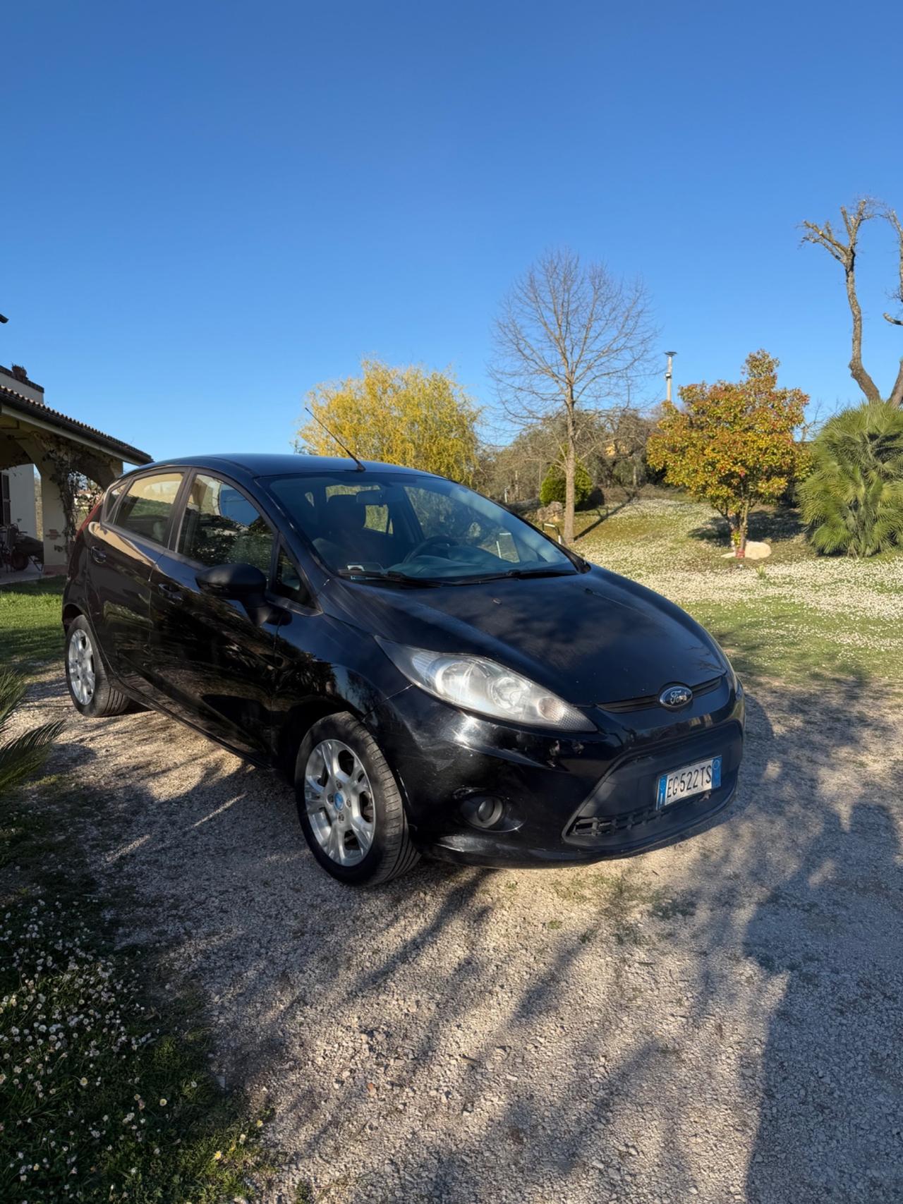 Ford Fiesta 1.4 TDCi 5p. Titanium