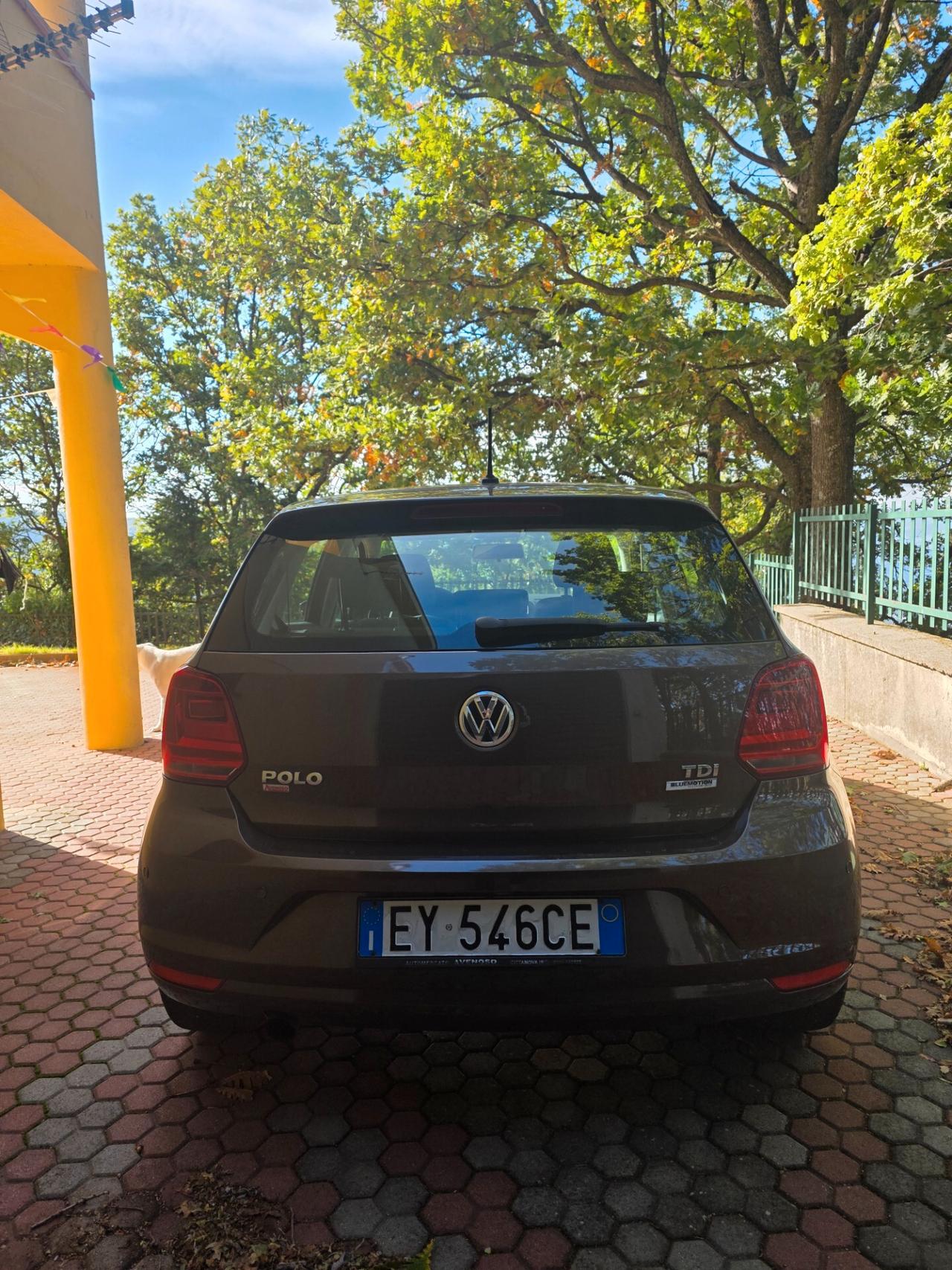 Volkswagen Polo 1.4 TDI 90 CV 5p. Comfortline BlueMotion Technology
