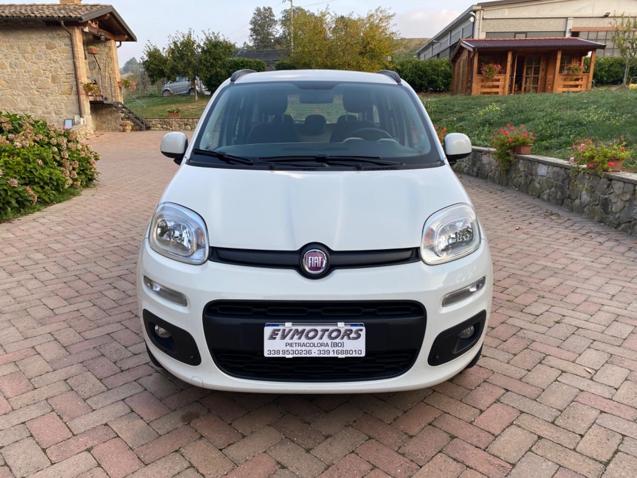 Fiat Panda, ford focus, fiat tipo, fiat 500 NOLLEGGIO BREVE E LUNGO TERMINE