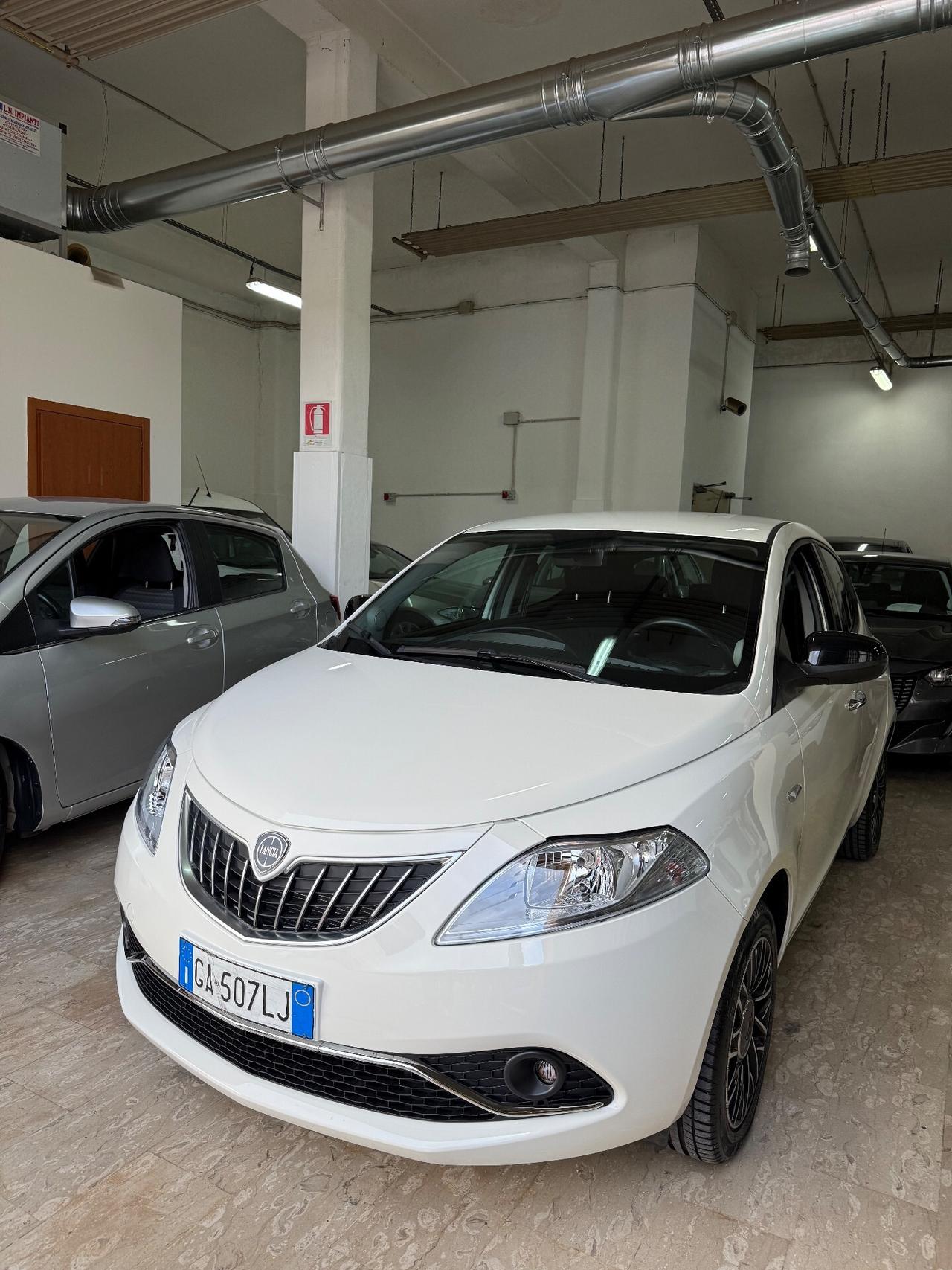 Lancia Ypsilon 1.2 69 CV 5 porte S&S Platinum