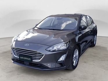 Ford Focus 1.5 EcoBlue 120 CV Automatico Business Co-Pilot 5 Porte