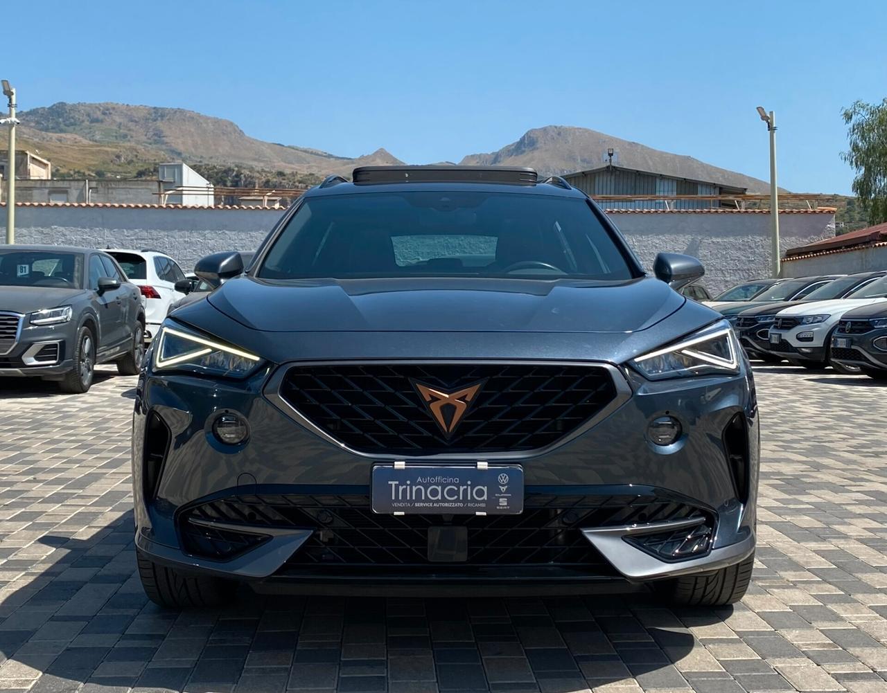 Cupra Formentor 2.0 TDI 150CV DSG 4drive Tetto